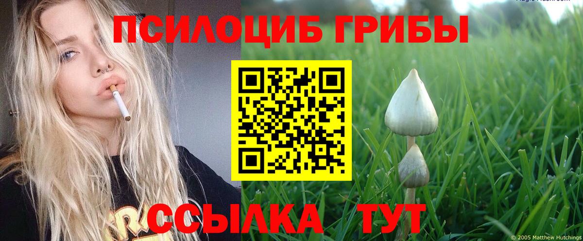 Псилоцибиновые грибы Psilocybine cubensis  Вход с VPN  закладка  Артём  Псилоцибиновые грибы GOLDEN TEACHER 